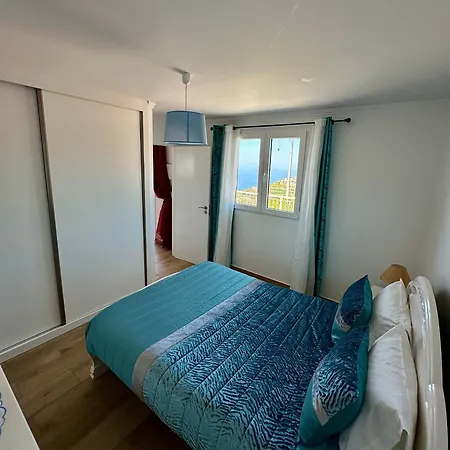 Little Blue Paradise